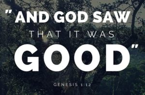 God saw that it was “GOOD”
